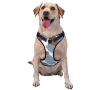 Best And Modern Leopard Skin Summary,Pet Harness,Adjustable Reflective Dog Harness,Pet Leash Vest,M