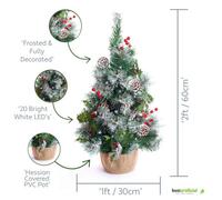 Best Artificial 2Ft - 60Cm Frosted Christmas Tree With 20 Bright White Battery Lights
