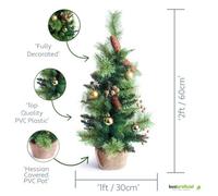 Best Artificial 2Ft - 60Cm Gold Christmas Tree