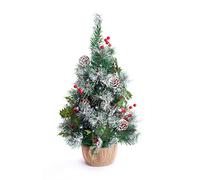 Best Artificial 2ft / 60cm Small Decorated Indoor Christmas Tree with 20 Bright White LED Battery Lights (Frosted Red)