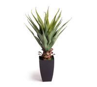 Best Artificial 2Ft - 70Cm Aloe Vera Plant