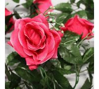 Best Artificial 7Ft Pink Silk Rose Garland Decoration - Perfect From Home, Office Or Events