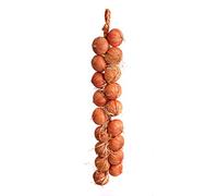 Best Artificial Hanging Vegetable String Decorative Realistic Display New Pepper Fruit (Onion String)