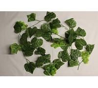 Best Artificial (TM) 180cm 6ft Grape Ivy Garland Hanging Fruit Vine String Plant (1, Green)