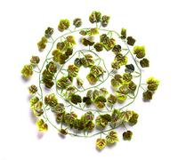 Best Artificial (TM) Autumn 210cm / 7ft Ivy Garland Hanging Vine String Plant - IL05 (1)