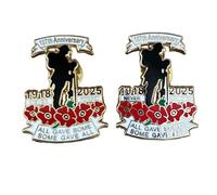 best badge 2025 Poppy Badges and Pins Brooch Remembrance Day Never Forget Badge Veterans Memorial Armistice Day (2pcs)