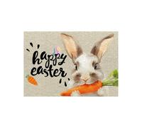 Best Blankets And Throws Easter Doormat Cute Soft Easter Rug Happy Welcome Floormat Decorative For Party Daily For Door Warm Throw Blankets Adults (C, 40x60cm)