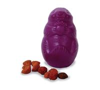 Best Buddy Squirrel Dude Dog Toy - Medium