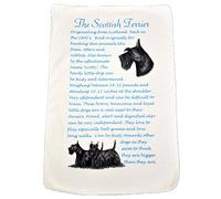 Best Friends Scottish Terrier - Microfibre Tea Towel