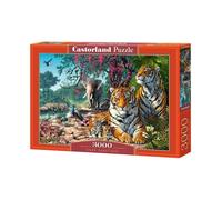 Best Jigsaw Puzzle 300-4000 pcs Castorland Various Styles Available Gift Hobby