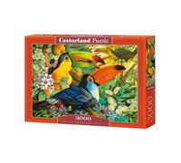 Castorland C-300433 "Interlude" Jigsaw Puzzle (3000-Piece)