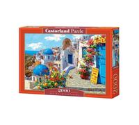 Best Jigsaw Puzzle 300-4000 pcs Castorland Various Styles Available Gift Hobby