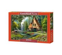 Best Jigsaw Puzzle 300-4000 pcs Castorland Various Styles Available Gift Hobby
