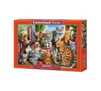 Best Jigsaw Puzzle 300-4000 pcs Castorland Various Styles Available Gift Hobby