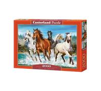 Best Jigsaw Puzzle 300-4000 pcs Castorland Various Styles Available Gift Hobby