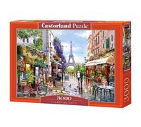 Best Jigsaw Puzzle 300-4000 pcs Castorland Various Styles Available Gift Hobby