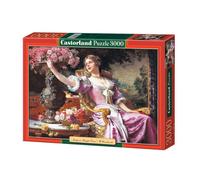 Best Jigsaw Puzzle 300-4000 pcs Castorland Various Styles Available Gift Hobby