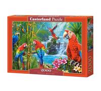 Best Jigsaw Puzzle 300-4000 pcs Castorland Various Styles Available Gift Hobby