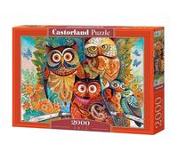 Best Jigsaw Puzzle 300-4000 pcs Castorland Various Styles Available Gift Hobby