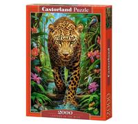 Castorland puzzle Leopard in the wilderness - 2000 pieces jigsaw puzzle