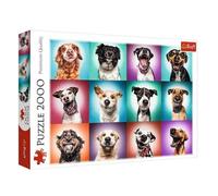 Trefl Funny Dog Portraits Puzzle Adults & Kids - 2000 Pieces