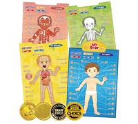 BEST LEARNING i-Poster My Body - Interactive Educational Human Anatomy Talking Game Toy System to Learn Body Parts, Organs, Muscles and Bones for Kids Aged 5 to 12 Years Old