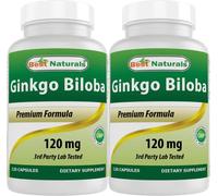Best Naturals, Ginkgo Biloba Extract - Double Strength Ginkgo Biloba, 120mg, 120 Capsules (120 Count (Pack of 2))