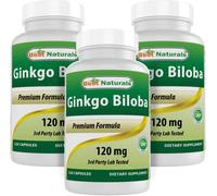 Best Naturals, Ginkgo Biloba Extract - Double Strength Ginkgo Biloba, 120mg, 120 Capsules (120 Count (Pack of 3))