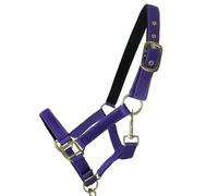 Best On Horse Headcollar Halter - Equestrian Padded Pony Cob Classic Nylon Headcollar with Adjustable Buckle Closure - Outdoor Horse Riding Equipment?
