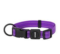 Best Pet Supplies Reflective Dog Collar with Adjustable Length, Heavy-Duty Buckle, and Strong Leash D-Ring, Training, Walking, Jogging Accessory for Small, Medium, and Large Breeds - Purple, M