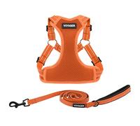 Best Pet Supplies Voyager Adjustable Dog Harness Leash Set with Reflective Stripes for Walking Heavy-Duty Full Body No Pull Vest with Leash D-Ring, Breathable All-Weather Wear - Orange, XL