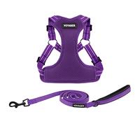 Best Pet Supplies Voyager Adjustable Dog Harness Leash Set with Reflective Stripes for Walking Heavy-Duty Full Body No Pull Vest with Leash D-Ring, Breathable All-Weather Wear - Purple, S