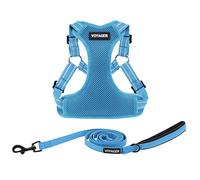 Best Pet Supplies Voyager Adjustable Dog Harness Leash Set with Reflective Stripes for Walking Heavy-Duty Full Body No Pull Vest with Leash D-Ring, Breathable All-Weather - Harness (Baby Blue), M