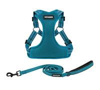 Best Pet Supplies Voyager Adjustable Dog Harness Leash Set with Reflective Stripes for Walking Heavy-Duty Full Body No Pull Vest with Leash D-Ring, Breathable All-Weather Wear - Turquoise, M