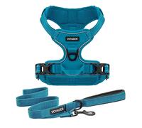 Best Pet Supplies Voyager Dual Attachment Outdoor Dog Harness and Leash Bundle by Best Pet Supplies | NO-Pull Pet Walking Vest Harness - Turquoise, XS (Chest: 13-17")