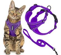 Best Pet Supplies Voyager Escape Proof Cat Harness and Leash Set with Reflective Stitching, Neoprene Handle 5ft - Supports Small, Medium and Large Cats, Kittens - Purple, M (Chest: 16.5-19.5")
