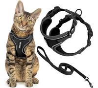 Best Pet Supplies Voyager Escape Proof Cat Harness and Leash Set with Reflective Stitching, Neoprene Handle 5ft - Supports Small, Medium and Large Cats, Kittens - Black, M (Chest: 16.5-19.5")