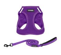Best Pet Supplies Voyager Step-in Air All Weather Mesh Harness and Reflective Dog 5 ft Leash Combo with Neoprene Handle, for Small, Medium and Large Breed Puppies by - Leash Harness (Purple), L