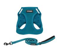 Best Pet Supplies Voyager Step-in Air All Weather Mesh Harness and Reflective Dog 5 ft Leash Combo with Neoprene Handle, for Small, Medium and Large Breed Puppies by - Leash Harness (Turquoise), M