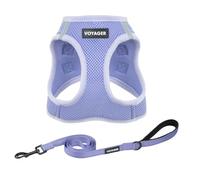 Best Pet Supplies Voyager Step-in Air All Weather Mesh Harness and Reflective Dog 5ft Leash Combo with Neoprene Handle, for Small, Medium and Large Breed Puppies - Lavender, XXS