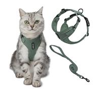 Best Pet Supplies Voyager Step-in Lock Adjustable Cat Harness w. Cat Leash Combo Set with Neoprene Handle 5ft - Supports Small, Medium and Large Breed Cats - Moss Green, M