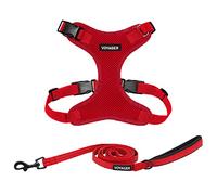 Best Pet Supplies Voyager Step-in Lock Dog Harness and Reflective Dog Leash Combo Set with Neoprene Handle 6ft Long - Supports Small, Medium and Large Breed Puppies/Cats - Red (w Leash), S