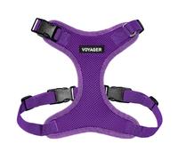 Best Pet Supplies Voyager Step-in Lock Pet Harness - All Weather Mesh, Adjustable Step in Harness for Cats and Dogs Purple (Matching Trim), M (Chest: 16-24")