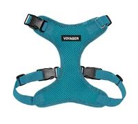 Best Pet Supplies Voyager Step-in Lock Pet Harness - All Weather Mesh, Adjustable Step in Harness for Cats and Dogs Turquoise (Matching Trim), XL (Chest: 22-36")