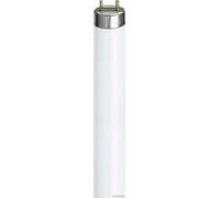 Best Price Square LAMP, T8, 1200MM, 36W, 6500K 63207440 By PHILIPS