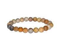 Best Price Trading Natural 8mm Gemstone Bead Chakra Healing Bracelet Gem Stone Protection Stretch Crystal (Fossil Coral Jade)