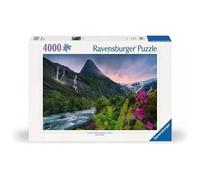 Ravensburger 12000811 Jigsaw puzzle 4000 pc(s) Other