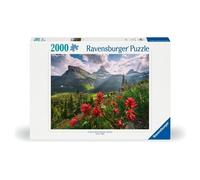 Best Ravensburger 500-5000-Piece Jigsaw Puzzles Top Picks Must-Haves Genuine