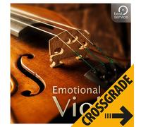Best Service Emotional Violin Crossgrade