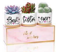 Best Sisters Gifts from Sister, Birthday Gifts for Sister from Brother, Best Sister Ever Ceramic Succulent Pots for Plants Indoor, Gift Boxed Xmas Valentines Day Gifts for Sister in Law Soul Sister